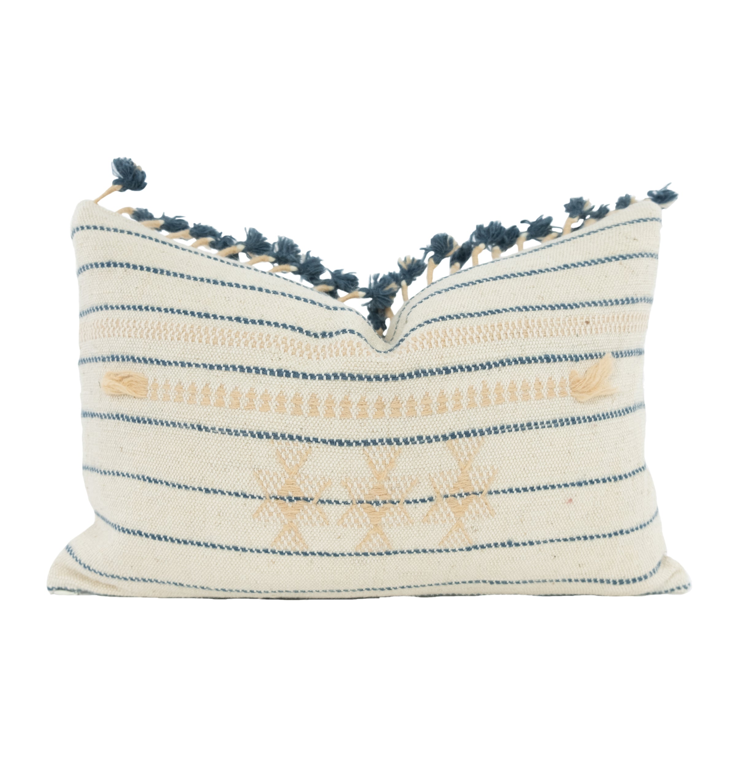 Sean Bhujodi Pillow